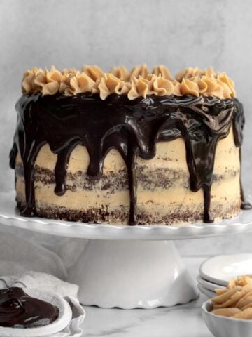 Chocolate Wow Butter Cake sits dripping chocolate ganache and wow butter buttercream.