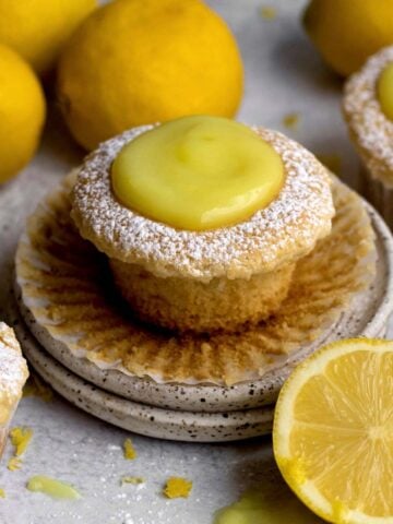 A stout Vegan Lemon Cupcake with lemon curd topping and confectioners’ sugar.