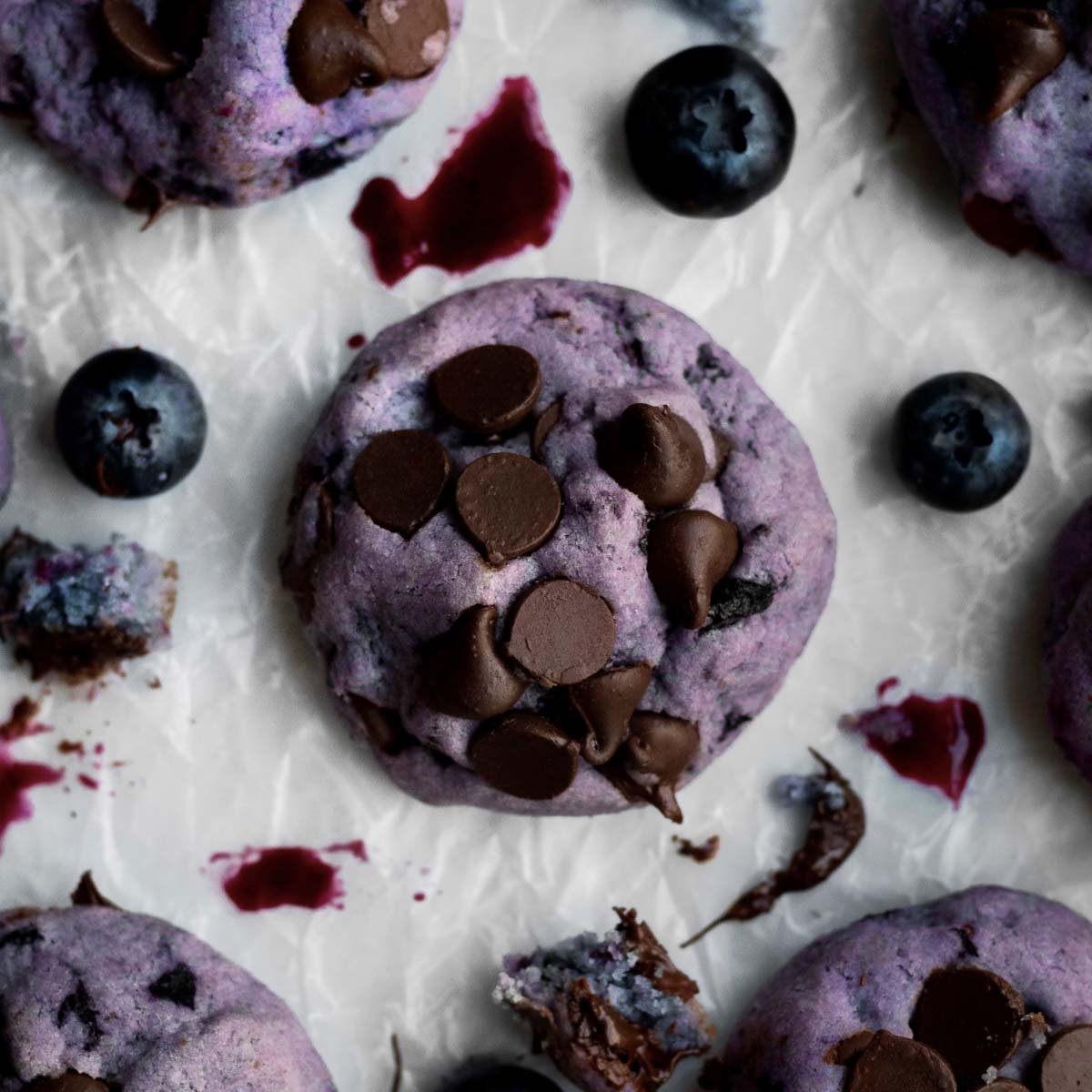 James' Blueberry and Chocolate Cookie Plant Based Smoothie Recipe