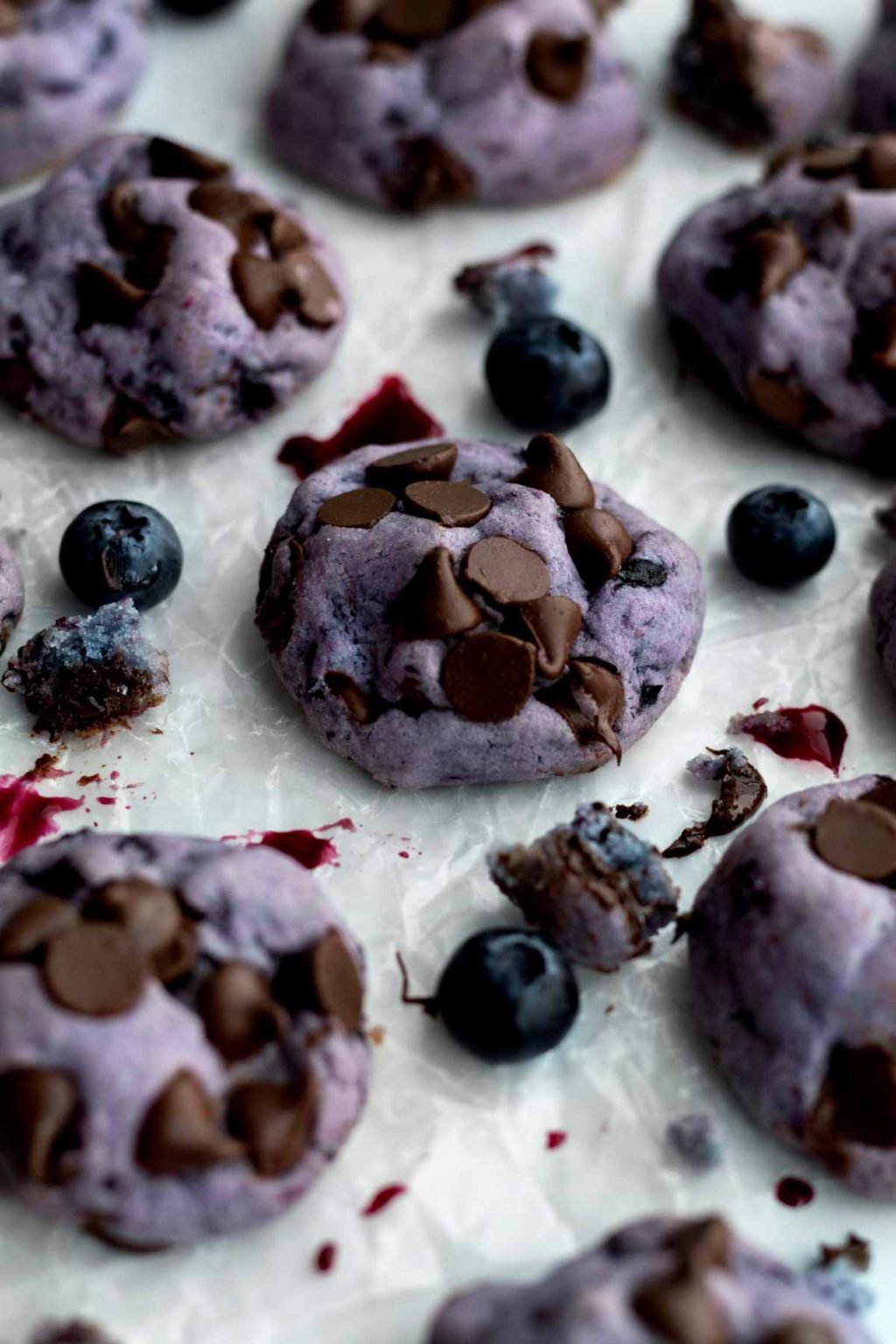 Blueberry Chocolate Chip Cookies - Lane & Grey Fare