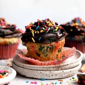 Cupcake with chocolate frosting and laced with rainbow sprinkles.