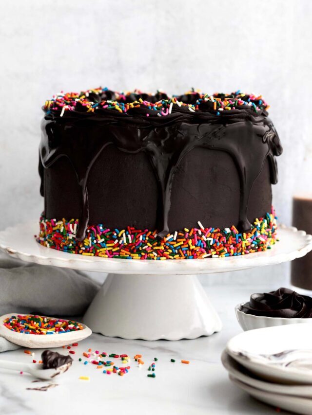 Decadent Chocolate Sprinkle Cake