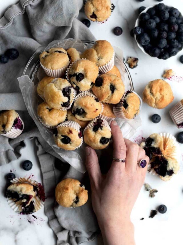 Blueberry Mini Muffins