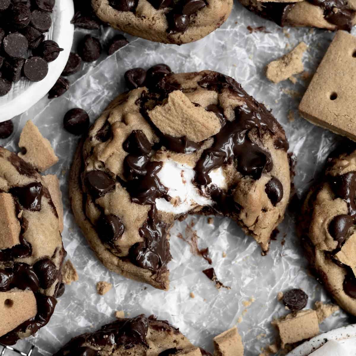Cookie Dough Scoop - S'mores