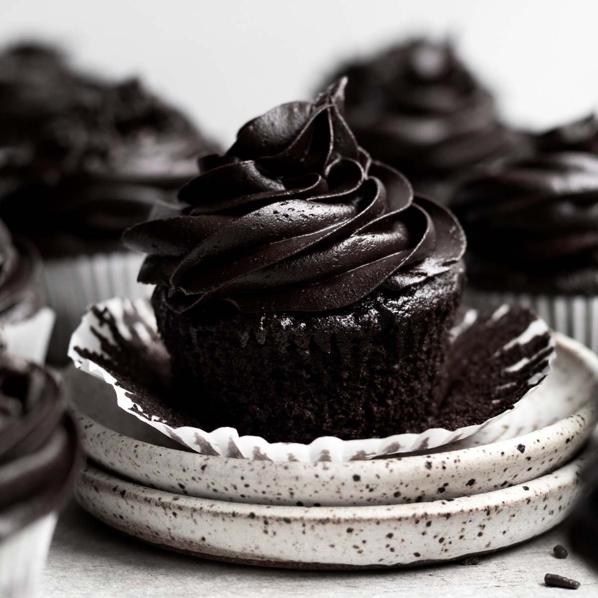 https://laneandgreyfare.com/wp-content/uploads/2022/10/Chocolate-Fudge-Cupcakes-1.jpg