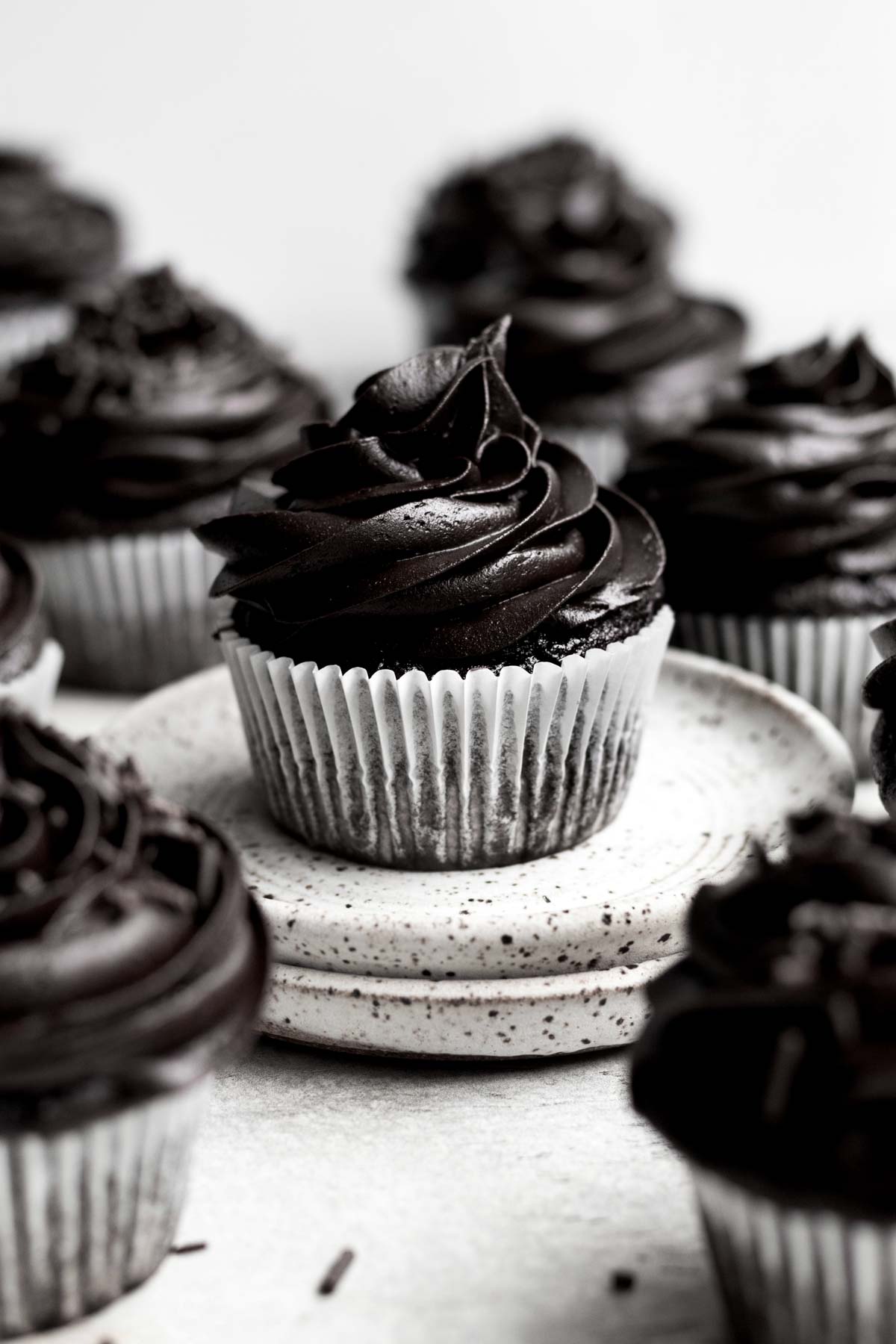 A fleet of cupcakes with swirly chocolate fudge frosting.