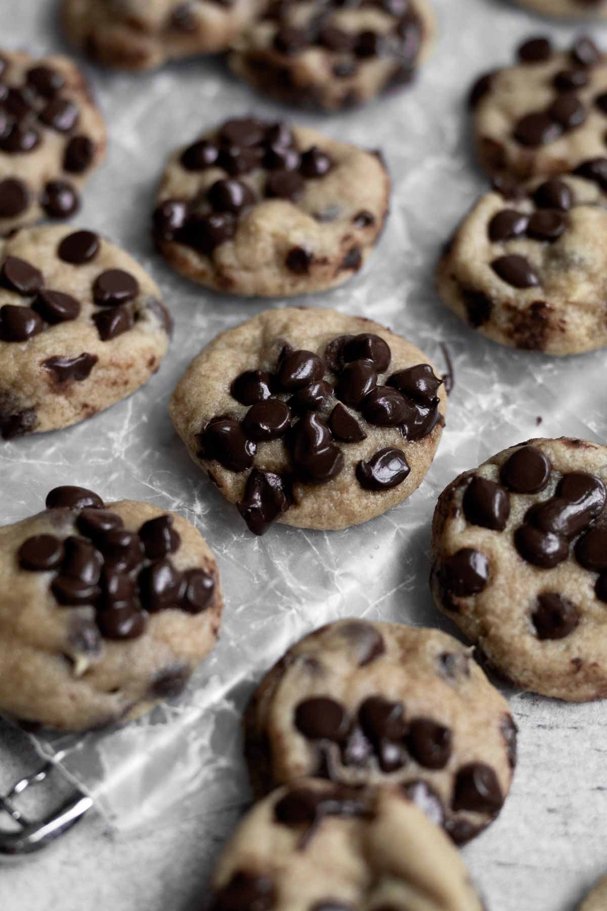 Melted chocolate chips on tiny cookies.