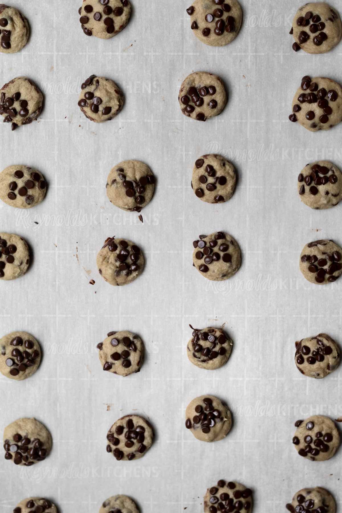 Parchment paper with mini chocolate chip cookies.