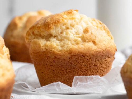 Gluten Free Vanilla Muffin