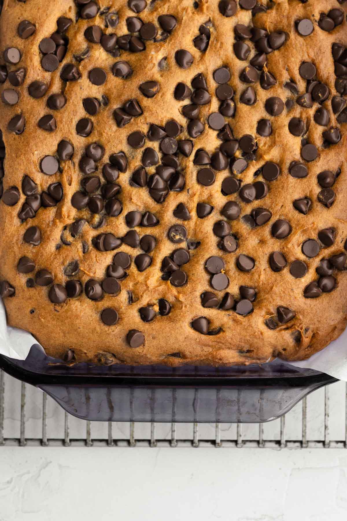 The dish of Chocolate Chip Pumpkin Bars is baked to a perfect golden brown.