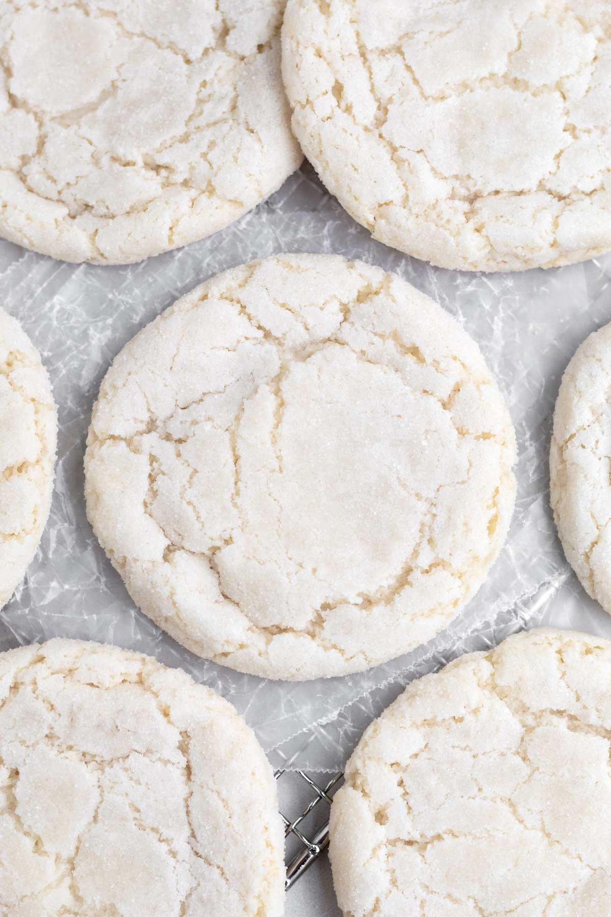 A sugar crystals sparkle on crinkled top of the delicious Crispy Sugar Cookie.