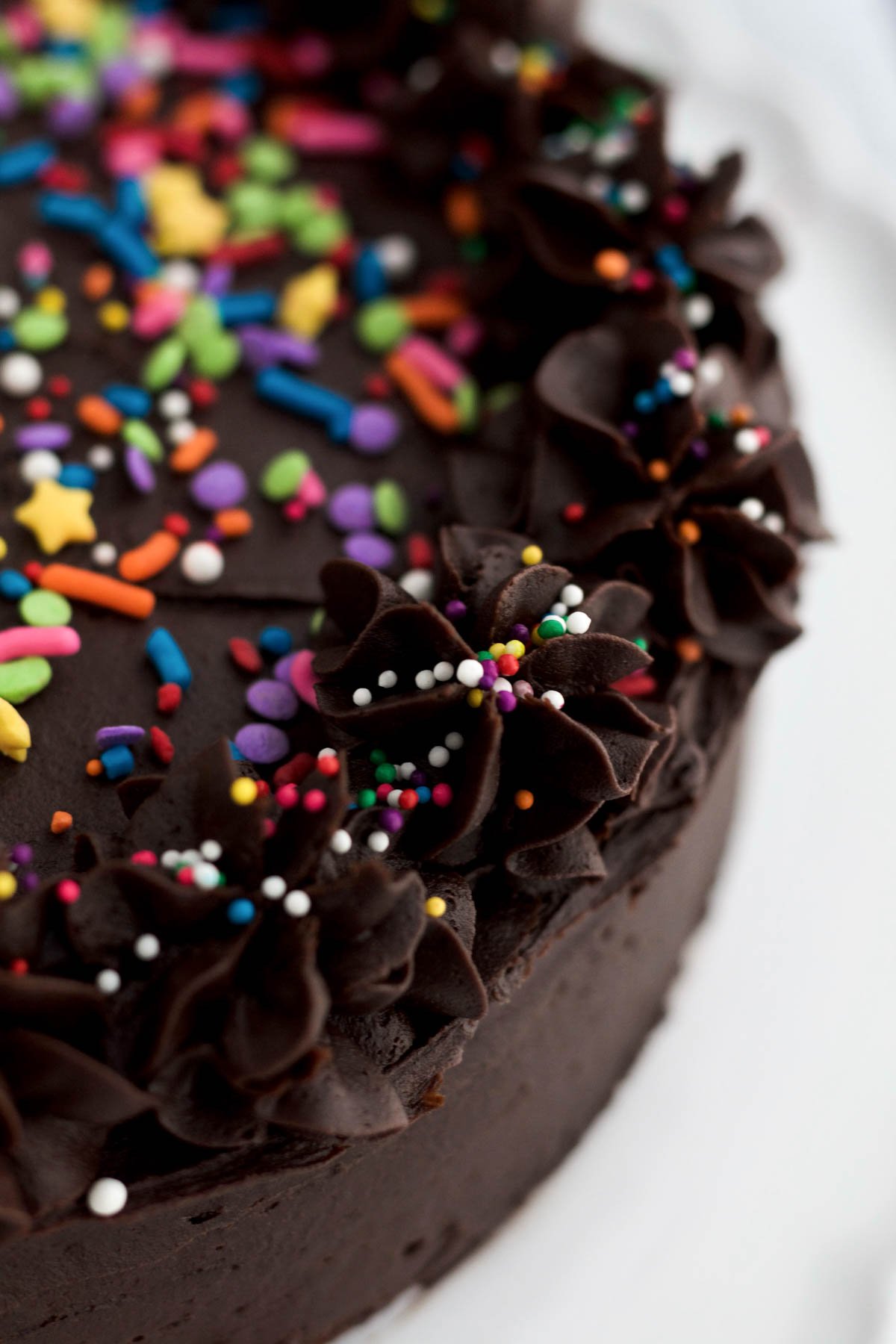 Round rainbow sprinkles climb the chocolate frosted stars that line the delicious Chocolate cake.