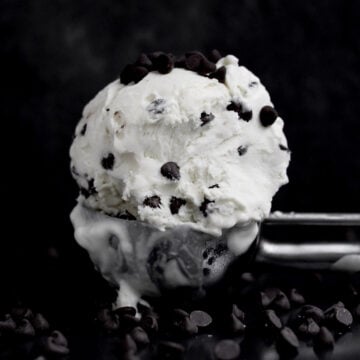 A scooped ball of delicious Chocolate Chip Ice Cream on an ice cream scoop.