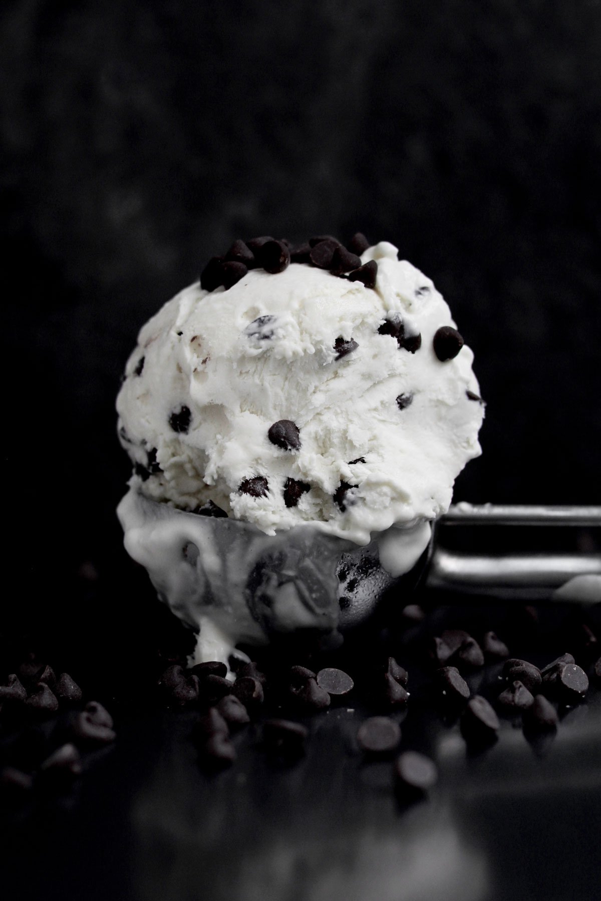 A scooped ball of delicious Chocolate Chip Ice Cream on an ice cream scoop.