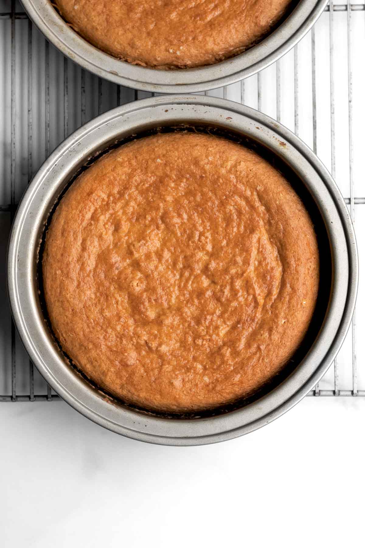 fresh golden brown cake bases in cake tins.