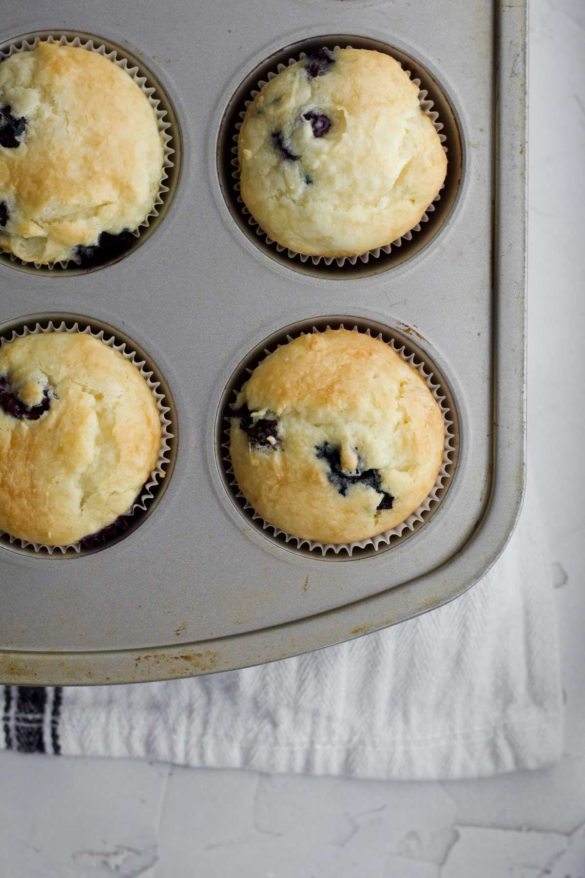 Fresh-baked, golden and risen blueberry cupcake bottoms in the tin.