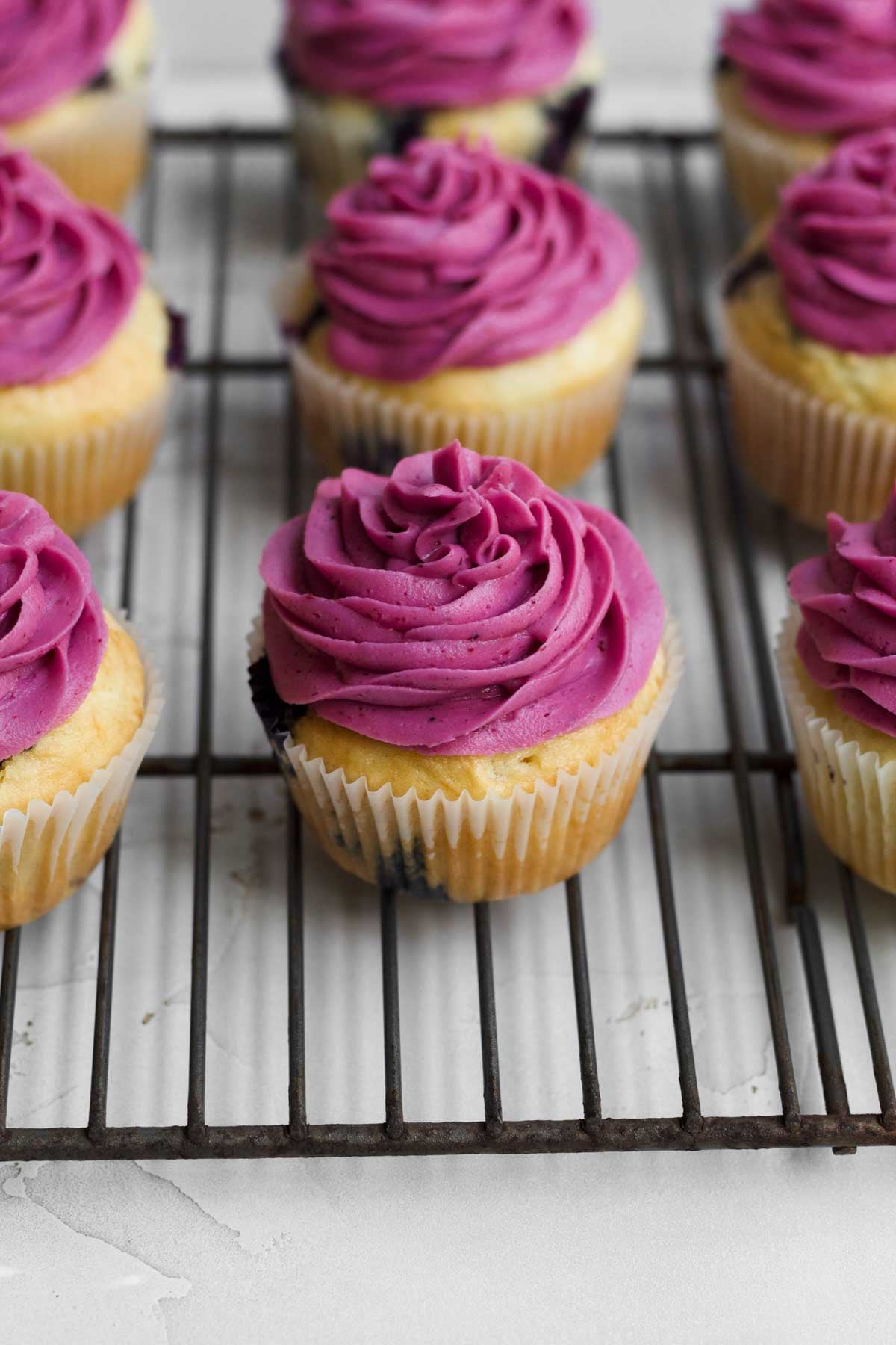 A piped swirl of blueberry frosting on the blueberry cupcakes.